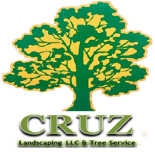 Cruz Landscaping LLC | Landscaping Services | Lawn | Residential | Commercial