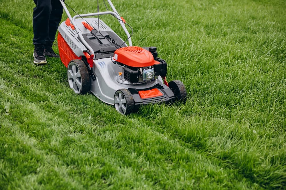 man cutting grass with lawn mover back yard 1 Services